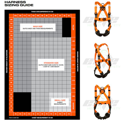 Essential Roof Harness Kit with Quick Release Buckles